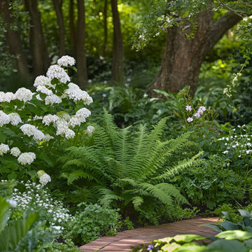 Serene Shade Garden Path