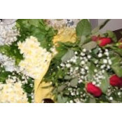 Ebru Yavuz's photo