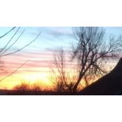 Sonja Parry's photo