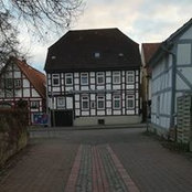 Anja Behnke's photo