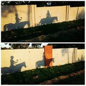 Ashleigh Coetzee's photo