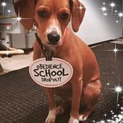 Karen Kibble's photo