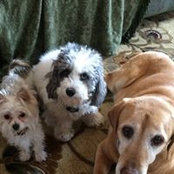 Darlene Patterson Lynskey's photo