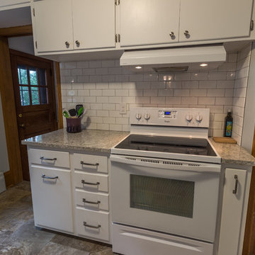 Project 3252-1 Modern St. Paul Kitchen Remodel