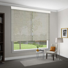 window covering or blinds