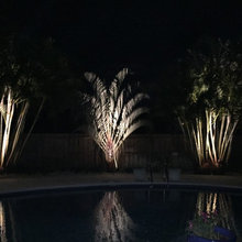 Pool Landscaping