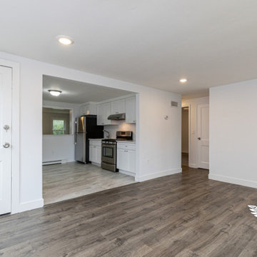 Full House Remodel