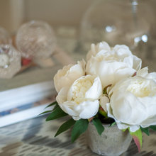 staged photos