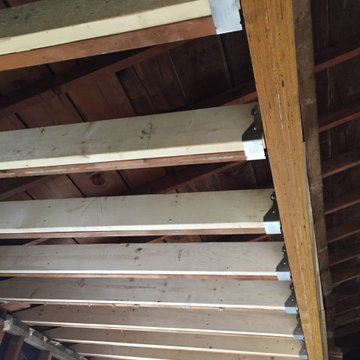 Complete gut kitchen renovation