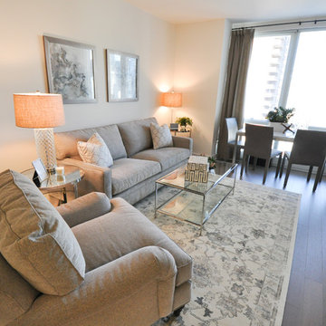 Manhattan Apartment