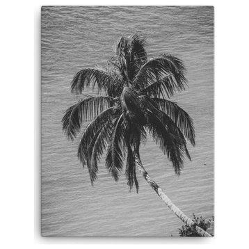 Palm Over Water Black and White Nature Photo Canvas Wall Art Print, 18" X 24"