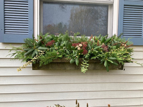 Window boxes.