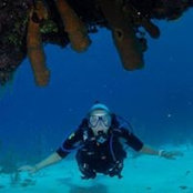 Cindy Allen's photo