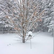 Bonnie Hosler Dunlap's photo