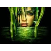 Gae Holden's photo