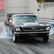 Michael Chiofolo's photo