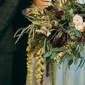Diana Moacă's photo