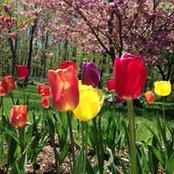Photo de Deb Courtright