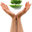 CJ S Tree Service of Omaha