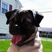 Geneva Molina's photo