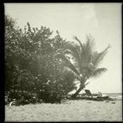 Gina Kelly's photo