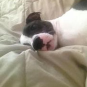 Marc Hellenbrand's photo