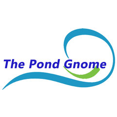 The Pond Gnome