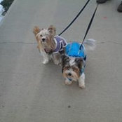 Helen Curran's photo