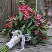 Christine Long's photo