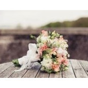 Wild Flowers's photo