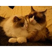Seiji Seto's photo