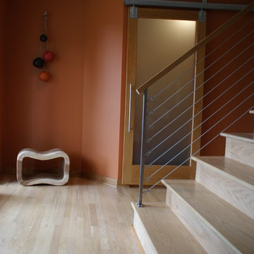 Mendota Heights Modern