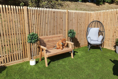 Design ideas for a medium sized contemporary back garden fence in Devon with a wood fence.