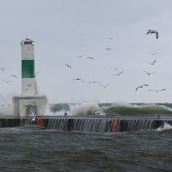 Photography - Photographs