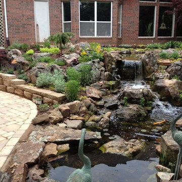 Ecosystem Ponds and Water Gardens By Continental Ponds