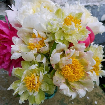 Slow Flowers May Inspiration: Floral Design with Seasonal Peonies
