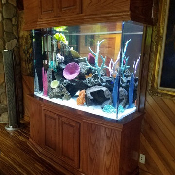 Built In Aquariums