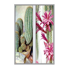 Desert Decor
