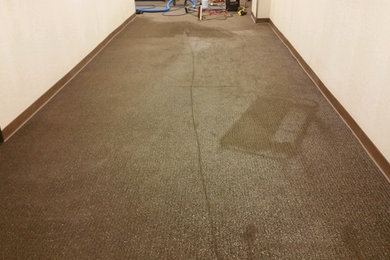 Commercial Carpet Cleaning - Paint Spill (HVLP Paint Sprayer Hose Leaked)