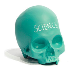 Chalkboard Skull in Aqua - Artwork