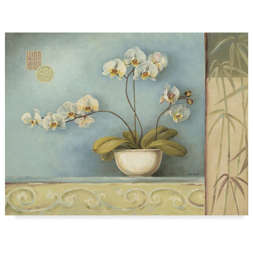 "Orchid Spa 1" by Lisa Audit, Canvas Art
