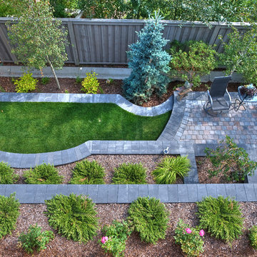 Small Yard Big Dreams
