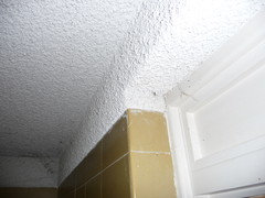 vermiculite ceiling