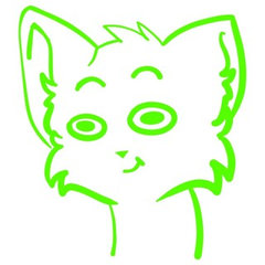 Kitty
