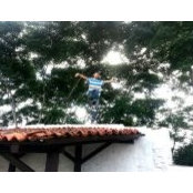 Sheng Wang's photo