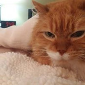 Amy Schramm's photo