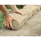 Giulia Biggi's photo