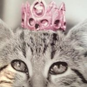 KatPat Devines foto