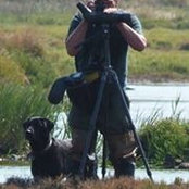 Sean McAllister's photo