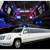 Limo O'hares billede